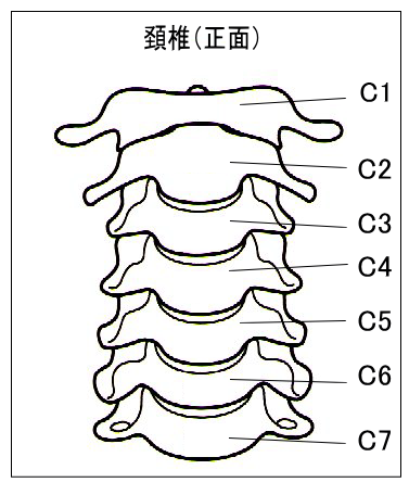 頚椎